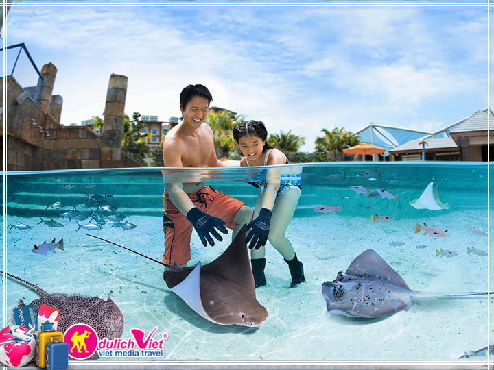 Vé tham quan Singapore Adventure Cove Water Park giá tốt 2025